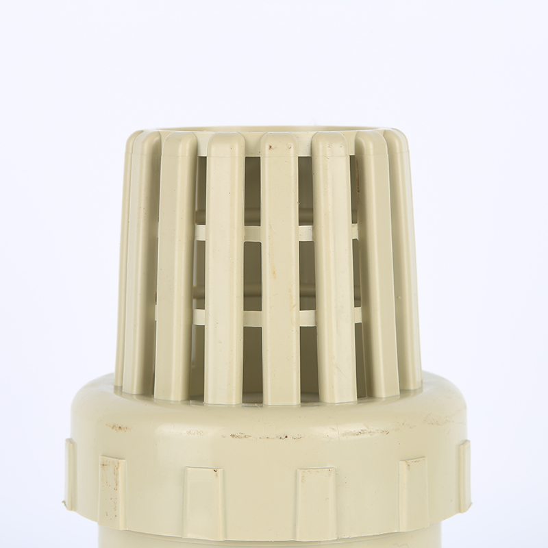 Summer beach concept