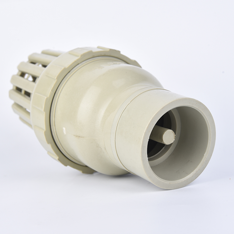 Summer beach concept