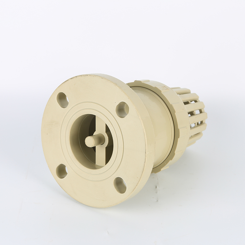 Summer beach concept