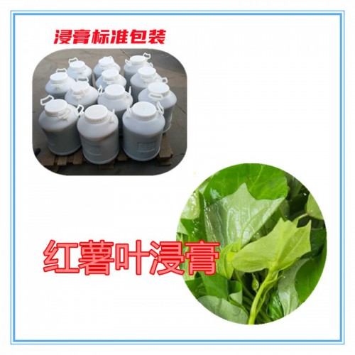 红薯叶提取物 红薯叶浸膏 红薯叶粉 红薯叶破壁粉
