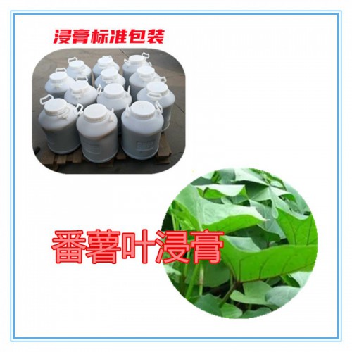 番薯叶提取物 番薯叶浸膏  番薯叶粉 番薯叶破壁粉