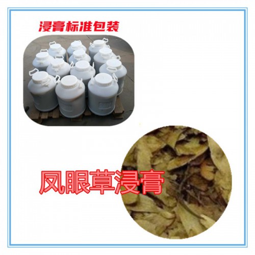 凤眼草提取物 凤眼草浸膏  凤眼草粉 凤眼草破壁粉