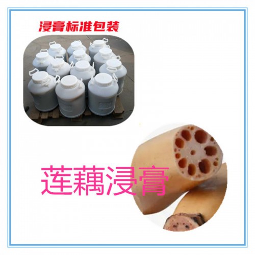 莲藕提取物 莲藕粉 莲藕破壁粉 莲藕提取液
