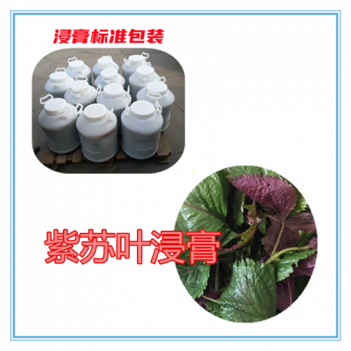 紫苏叶提取物 紫苏叶粉 紫苏叶破壁粉  紫苏叶提取液