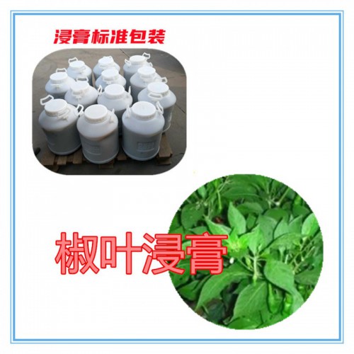 椒叶提取物 椒叶粉 椒叶破壁粉  椒叶提取液