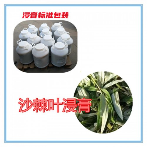 沙棘叶提取物 沙棘叶粉 沙棘叶稞破壁粉 沙棘叶提取液