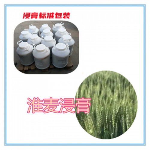 淮麦提取物   淮麦粉 淮麦浸膏  淮麦提取液