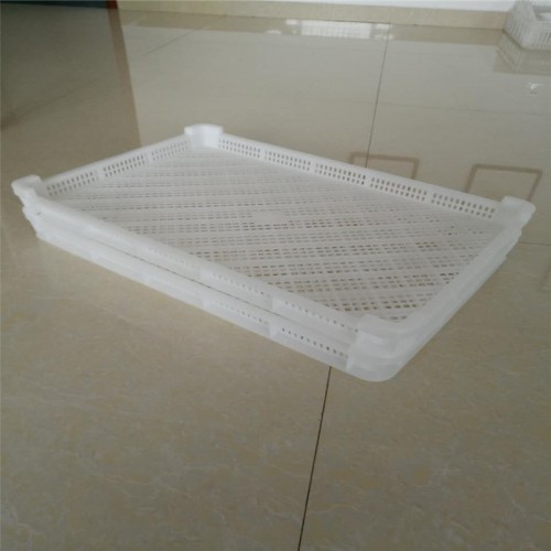 塑料风干晾晒冷冻盘 塑料单冻盘 塑料冷冻筐