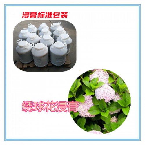 绣球花提取物  绣球花粉 绣球花浸膏 绣球花提取液