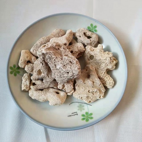 天然珊瑚石 珊瑚石 珊瑚石精选厂家