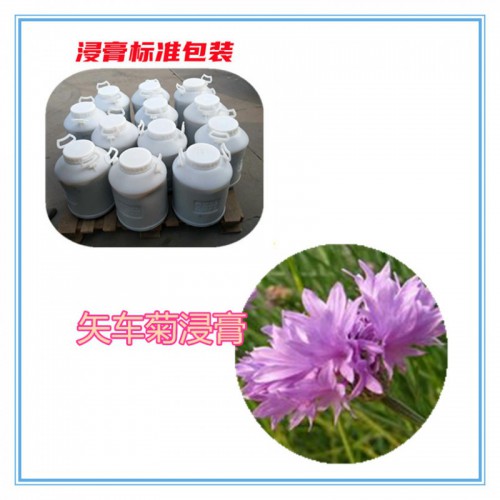 矢车菊提取物 矢车菊粉 矢车菊浸膏 矢车菊提取液