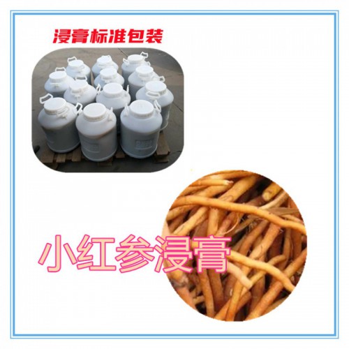小红参提取物 小红参粉 小红参浸膏 小红参提取液