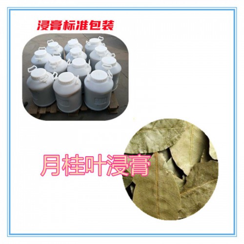 月桂叶提取物 月桂叶粉 月桂叶浸膏  月桂叶提取液