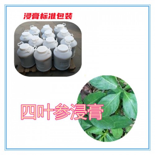 四叶参提取物 四叶参粉 四叶参浸膏  四叶参提取液