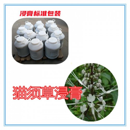 猫须草提取物 猫须草粉 猫须草浸膏  猫须草提取液