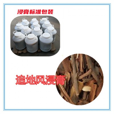 追地风粉 追地风提取物 追地风浸膏 追地风破壁粉