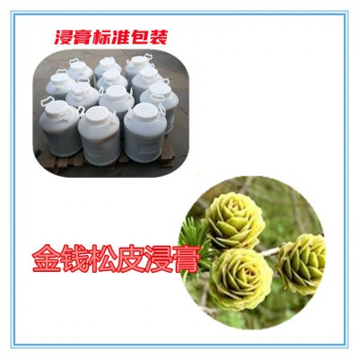 金钱松皮粉 金钱松皮提取物 金钱松皮浸膏 金钱松皮破壁粉