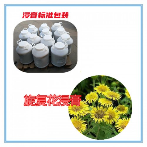旋复花粉 旋复花提取物 旋复花浸膏 旋复花破壁粉