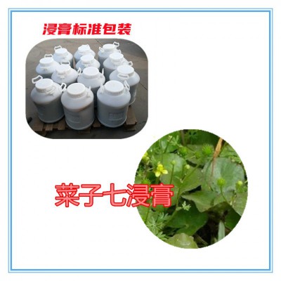 榛子粉 榛子提取物  榛子浸膏  榛子破壁粉