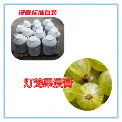 灯笼果粉   灯笼果提取物 灯笼果浸膏  灯笼果破壁粉