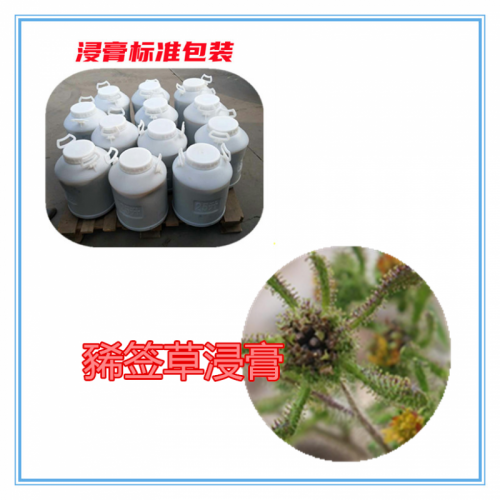 豨签草粉  豨签草提取物 豨签草浸膏  豨签草破壁粉