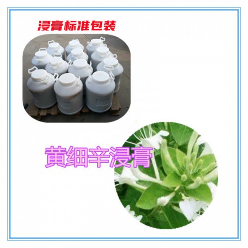 黄细辛粉 黄细辛提取物   黄细辛浸膏  黄细辛破壁粉