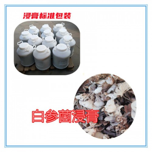 白参菌粉 白参菌提取物  白参菌浸膏  白参菌破壁粉