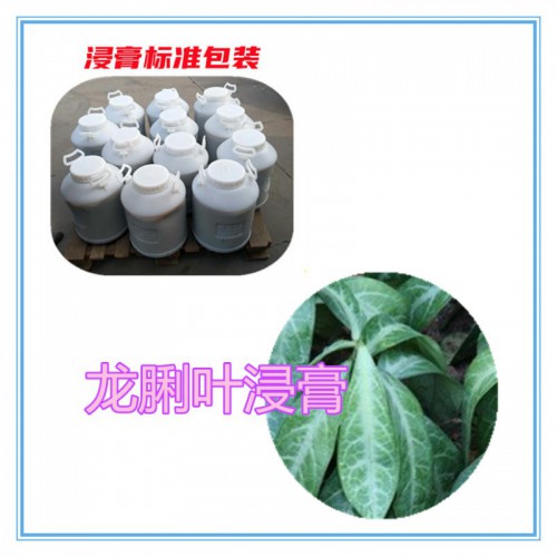 龙脷叶粉 龙脷叶提取物  龙脷叶浸膏  龙脷叶破壁粉