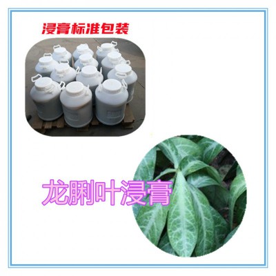 龙脷叶粉 龙脷叶提取物  龙脷叶浸膏  龙脷叶破壁粉