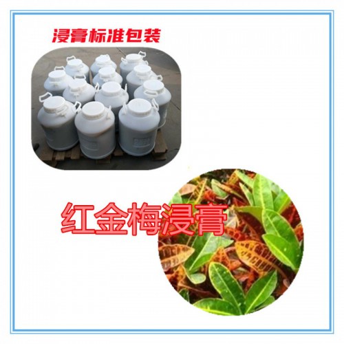 红金梅速溶粉 红金梅提取物 红金梅浸膏  红金梅浸膏粉