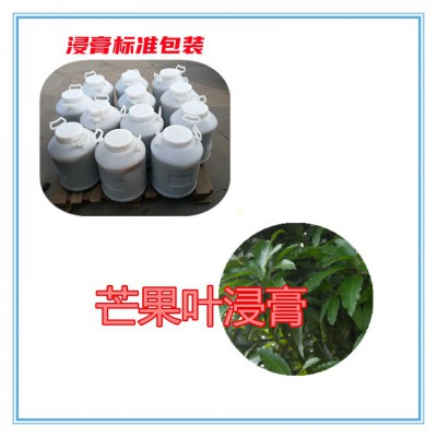 芒果叶速溶粉 芒果叶提取物 芒果叶浸膏  芒果叶浸膏粉