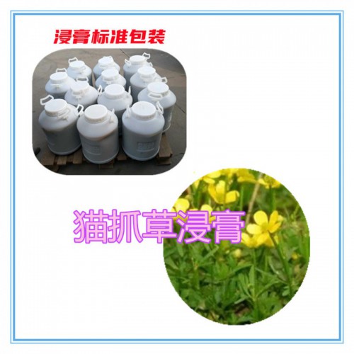 猫抓草速溶粉  猫抓草提取物  猫抓草浸膏 猫抓草浸膏粉