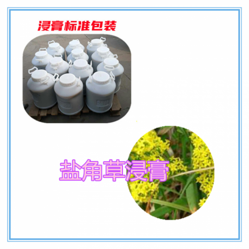 盐角草提取物 盐角草浸膏 盐角草粉 盐角草破壁粉