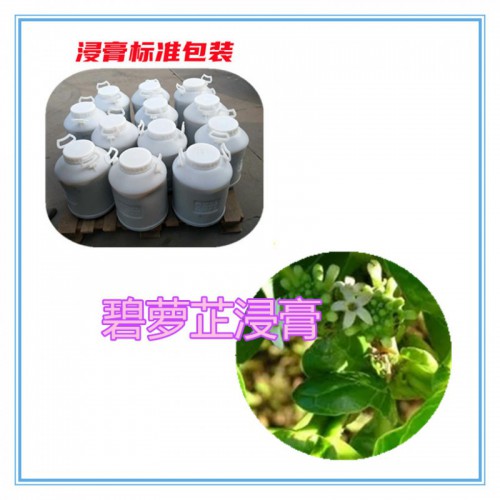 碧萝芷提取物 碧萝芷浸膏  碧萝芷粉 碧萝芷破壁粉