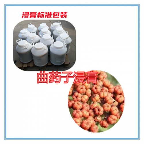 曲药子速溶粉 曲药子提取物  曲药子浸膏 曲药子浸膏粉