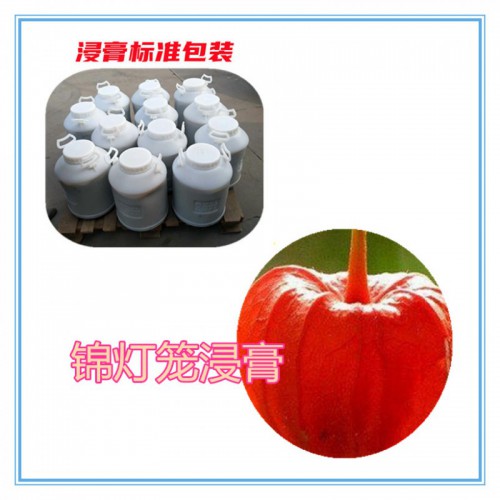 锦灯笼速溶粉 锦灯笼提取物 锦灯笼浸膏 锦灯笼浸膏粉