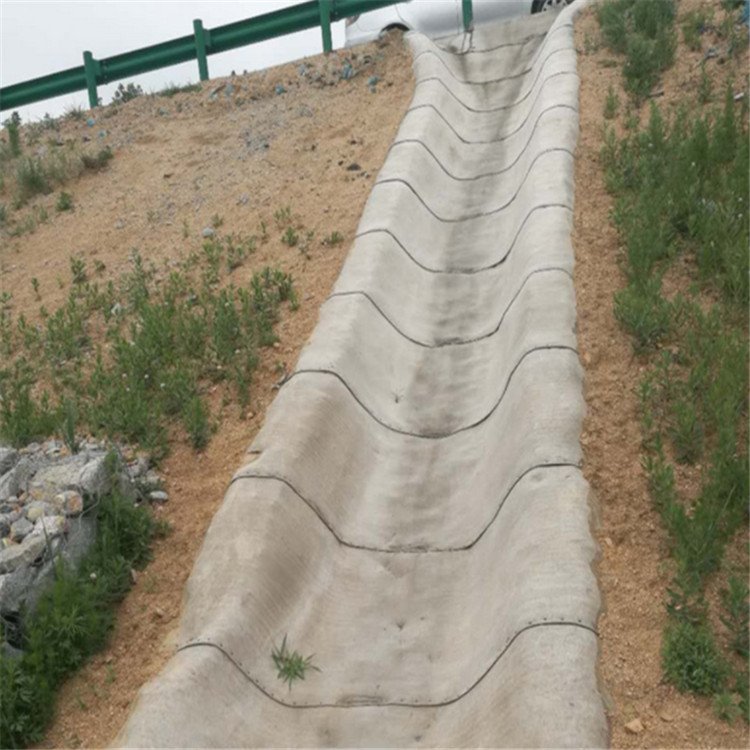 Summer beach concept