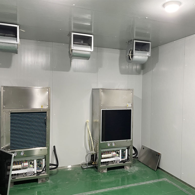 Summer beach concept