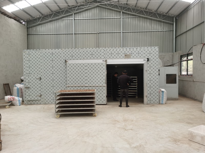 Summer beach concept