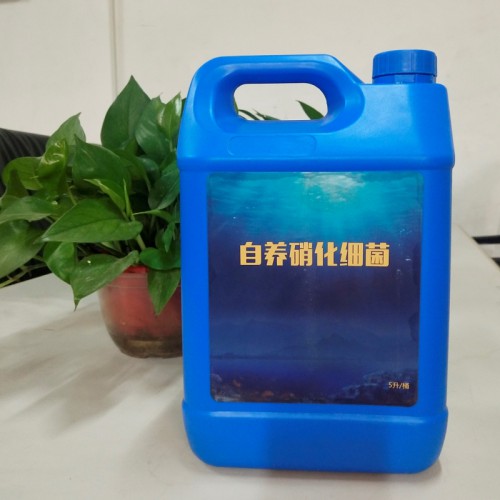 COD降解菌种 降解COD氨氮菌种 北京开碧源