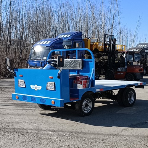 平板运输车  电动平板车  载重王搬运车