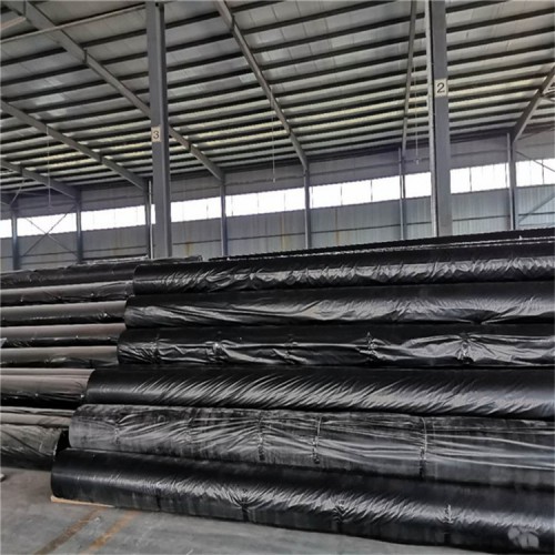 防汛长丝土工布  河堤长丝土工布生产厂家