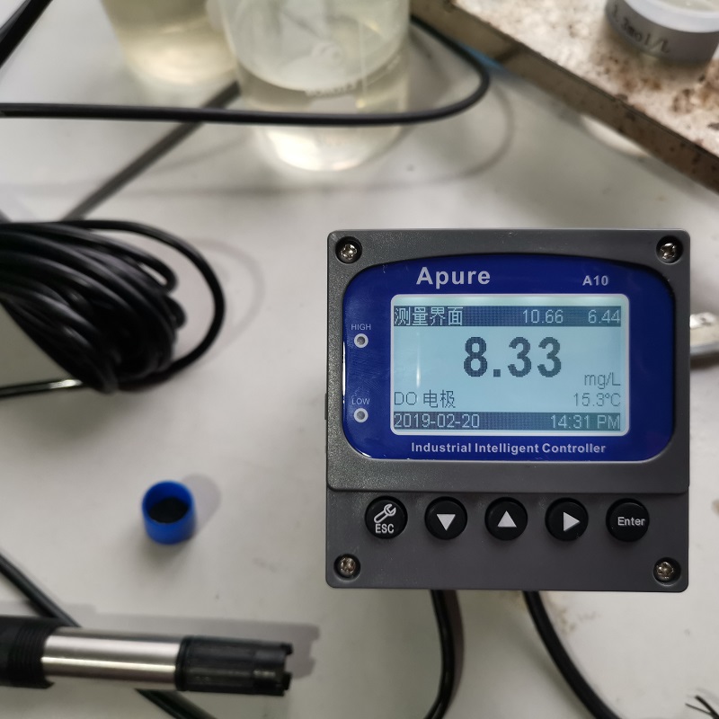 Summer beach concept