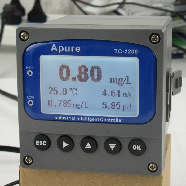 Summer beach concept