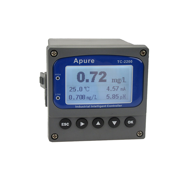 Summer beach concept