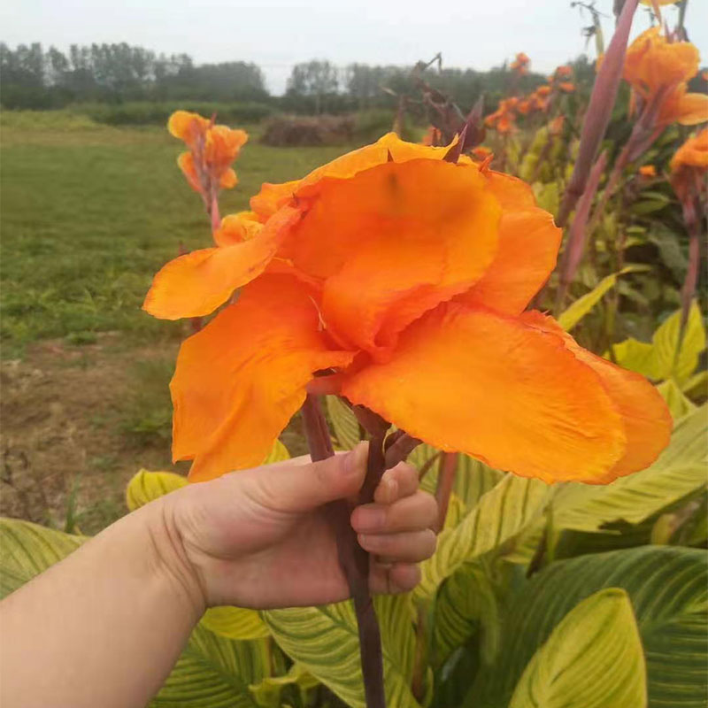 Summer beach concept