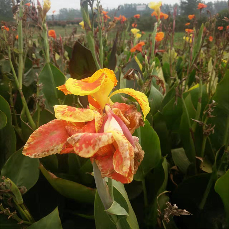 Summer beach concept