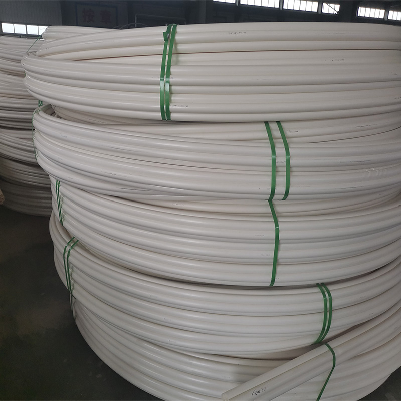 Summer beach concept