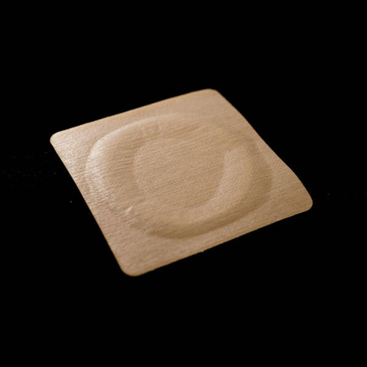 Summer beach concept