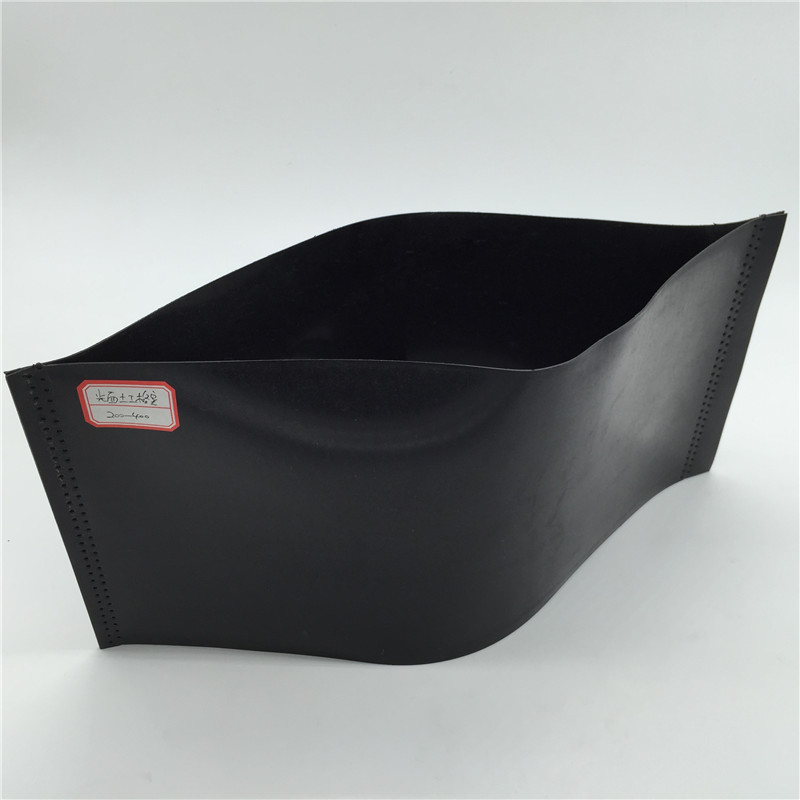 Summer beach concept